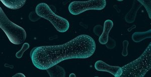 Protozoa: Excretion and Osmoregulation