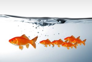 Maturation of Fishes