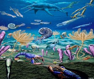 Phylum Mesozoa